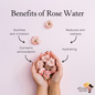 African Secret Rose Water