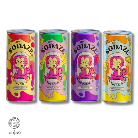 SODAZE CRAFT SODA